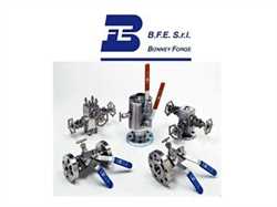 BFE HL 300 Hand Wheel Globe Valve