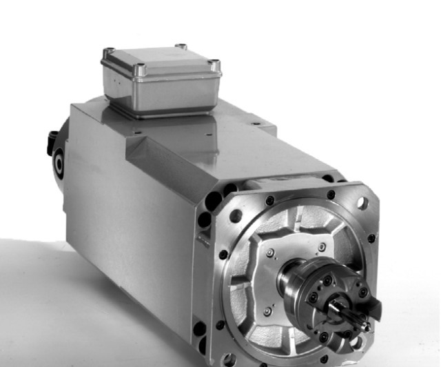 Franz Kessler DMQ 100-607.857  Air-Cooled Motors