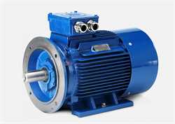 Hoyer MS Series  IE1/8 Pol Marine Motor