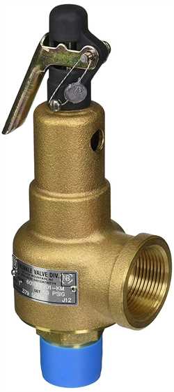 Kunkle 6010FEV01-KM Safety Relief Valve