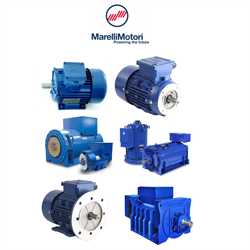 Marelli M6Q 100 LB4 B5 Motor