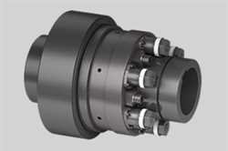 Ringfeder TNT 2425  Safety Coupling