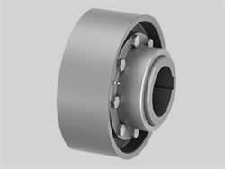 Ringfeder TNZ ZCA-BT/ZCB-BT  Gear Coupling