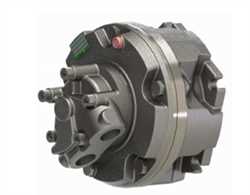 Sai GM1 100 1H D313 DBM Hydraulic Motor