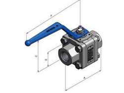 Starline 116SGS-G/BW  Superstar Ball Valve