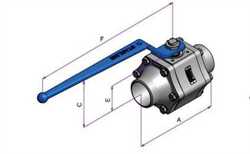 Starline 116TGT-G/BW  Superstar Ball Valve