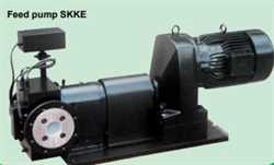 Steimel SKKE Series  Rotary Piston Pump