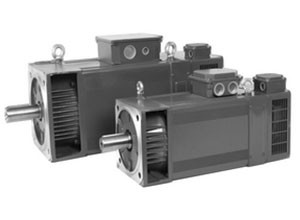 T-T Electric AMS 100  AC Motor