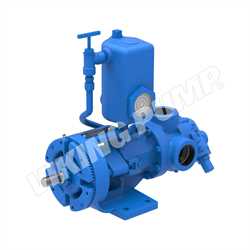 Viking Pump 4924A SERIES  Pumps