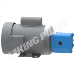 Viking Pump SG SERIES  Pumps